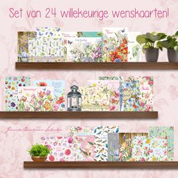 Janneke Brinkman ACTIE! 24 verschillende wenskaarten-0