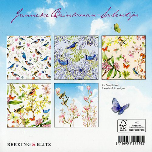 Janneke Brinkman Vogels, vlinders en bloemen wallet wenskaarten-445