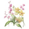 Janneke Brinkman Giclee Orchidee-0