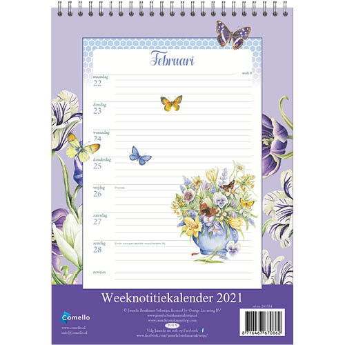 Brinkman essay 08 picture