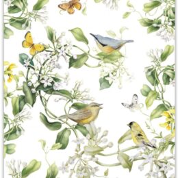 Janneke Brinkman poster  VOGELS EN VLINDERS