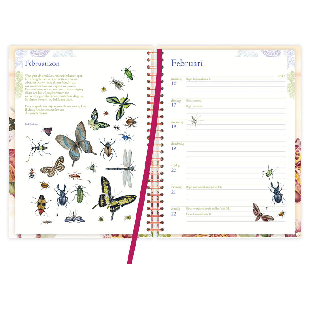Janneke Brinkman bureau-agenda Orchidee 2026