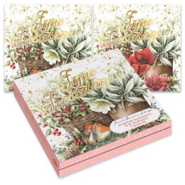Janneke Brinkman kerstkaartenmapje Bloempot & roodborstjes – Bloempot & amaryllis